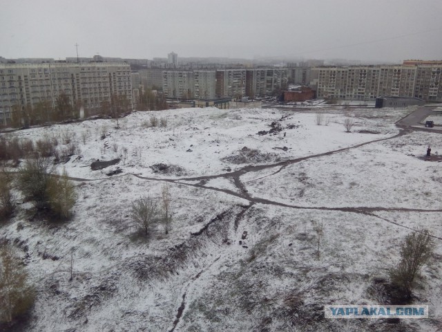 Мир, труд, май! на улице -2, еще час назад была зеленая трава и ясное небо! Сибирь!