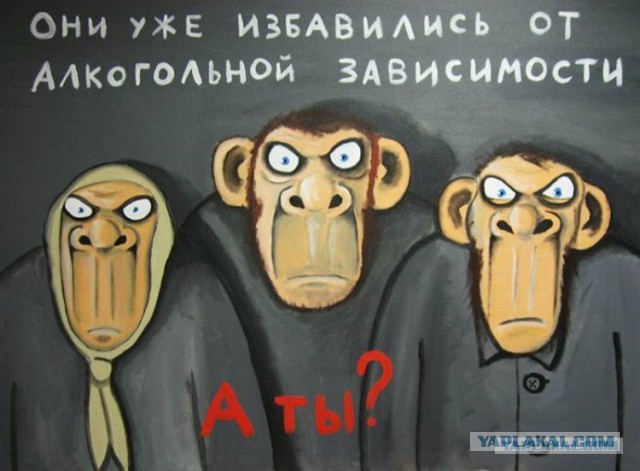 Год без алкоголя