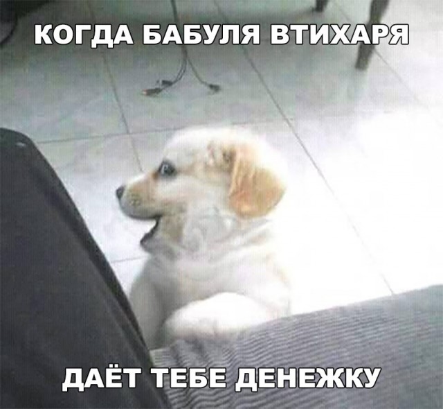 Нестандартный юмор