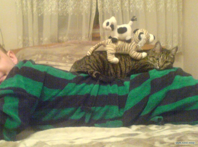 КОТовторник 13.04.2010г.