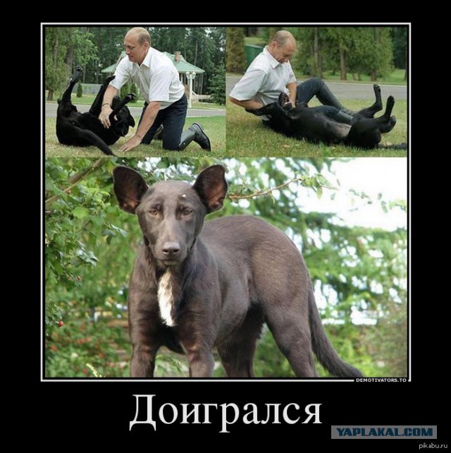 СМИ сообщили, что Алина Кабаева родила двойню в Москве