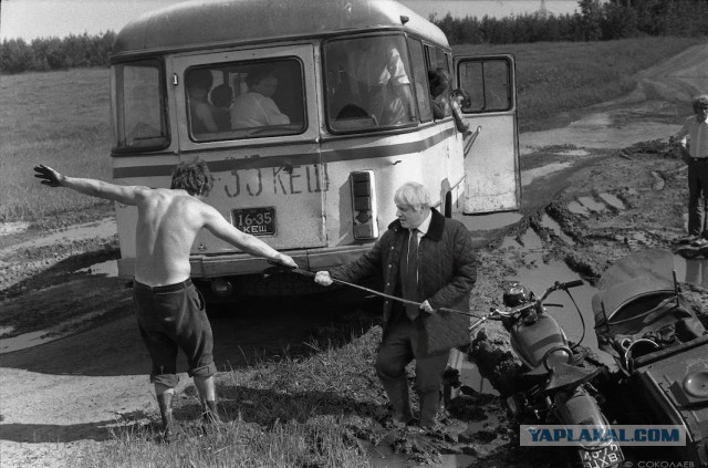 Фотожаба "На поводке"