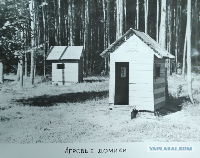 1985 – за год до трагедии