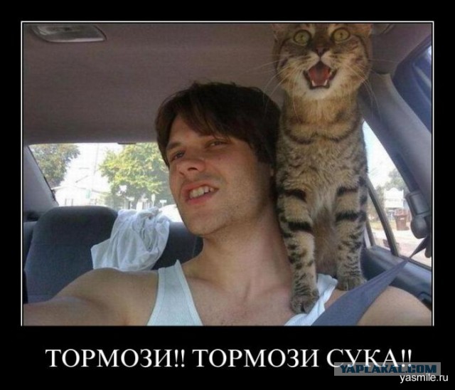 Не уступил