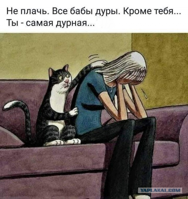 Среда с оттенками коричневого