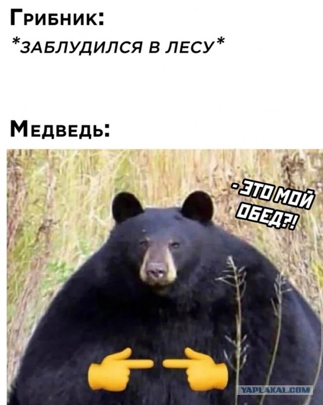 Картинки из рабочего чата 24.10