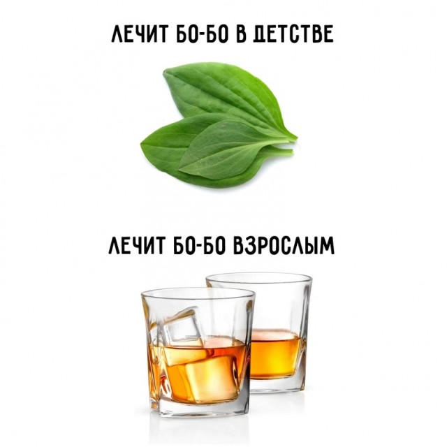 Весёлый полтишок 31.08