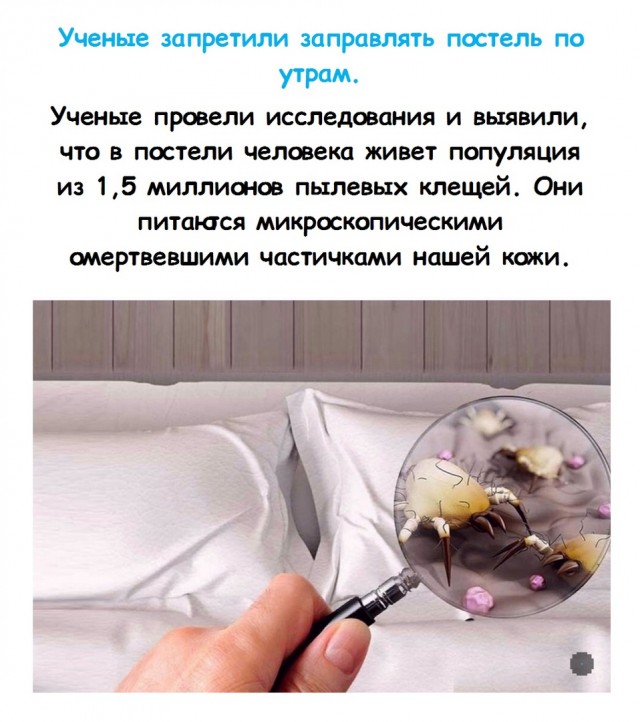 Ау нам не нужна была кровать. Ау нам не нужна была кровать