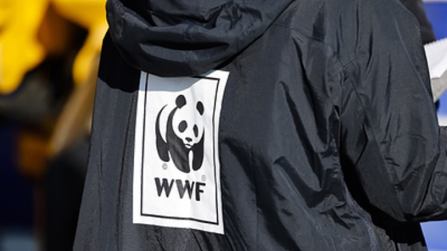 WWF грозит изгнание. Пока с Чукотки: под угрозой нацбезопасность России.