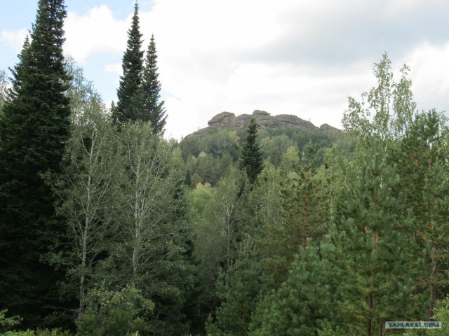 Озеро Моховое, Алтайский край