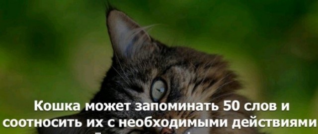 Прикольные и просто красивые картинки 27.04.2022