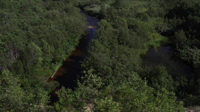 Ты узнаешь, что напрасно называют север крайним...