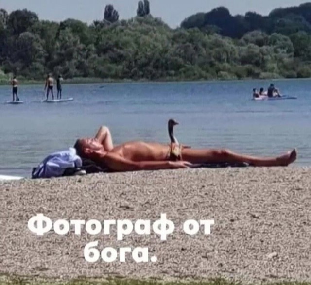 Юмор в картинках и без 05.08.22