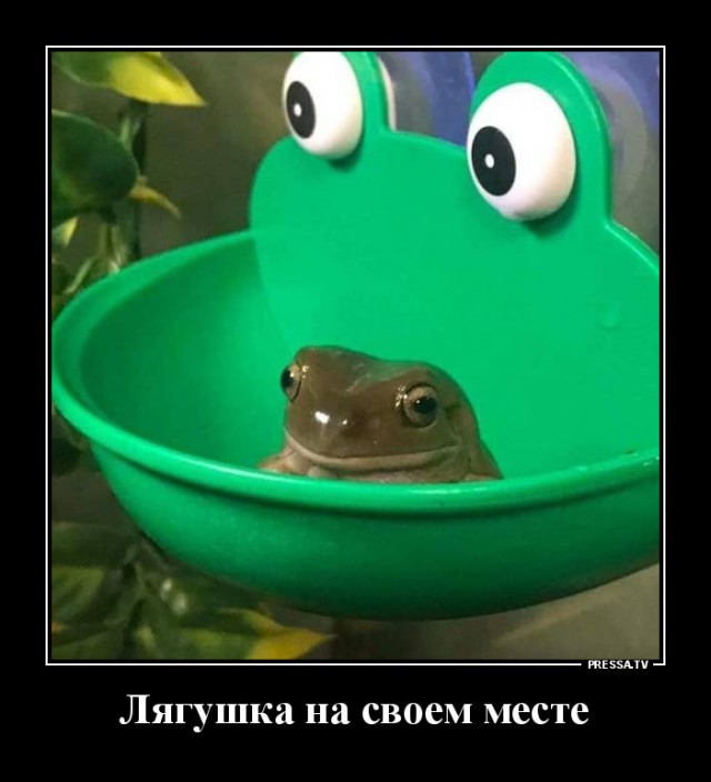 Картинки и мемы, всем хороших выходных