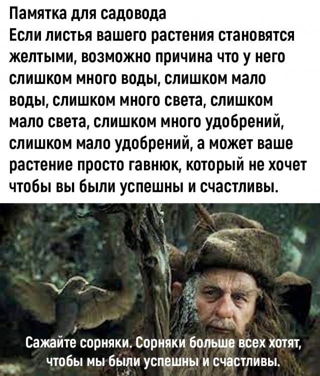 Так себе картинки 21.09.22