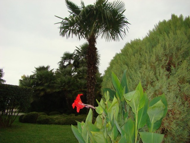 Адлер - райская земля