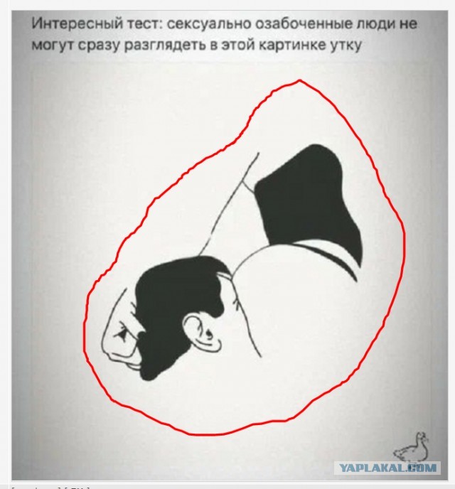 Картинки и мемы. Выходные близко...