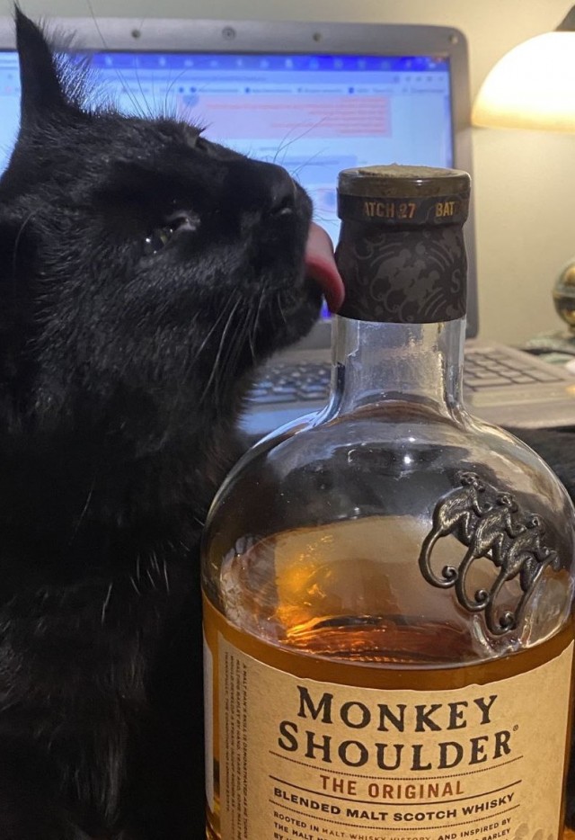 Мой Песдюк