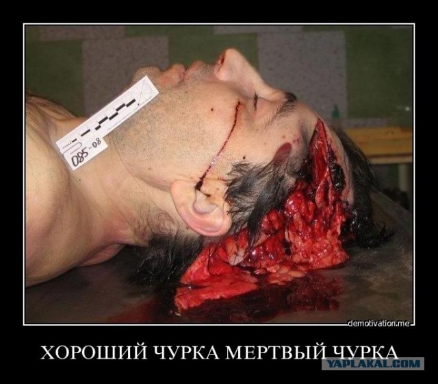 Ингушский гонщеГ !
