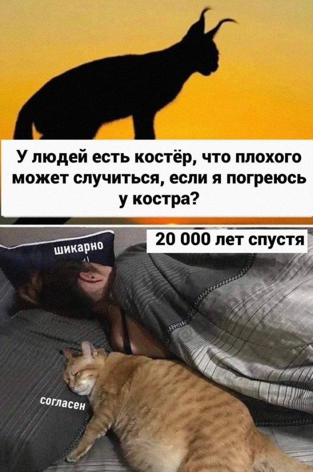 Картинки и мемы для настроения - 015