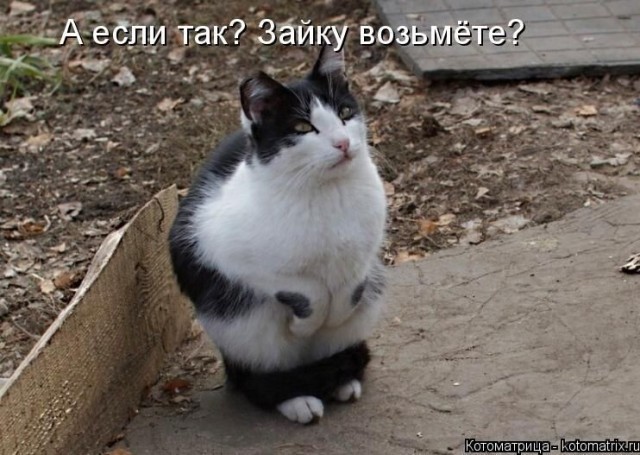 Юмор в картинках и без