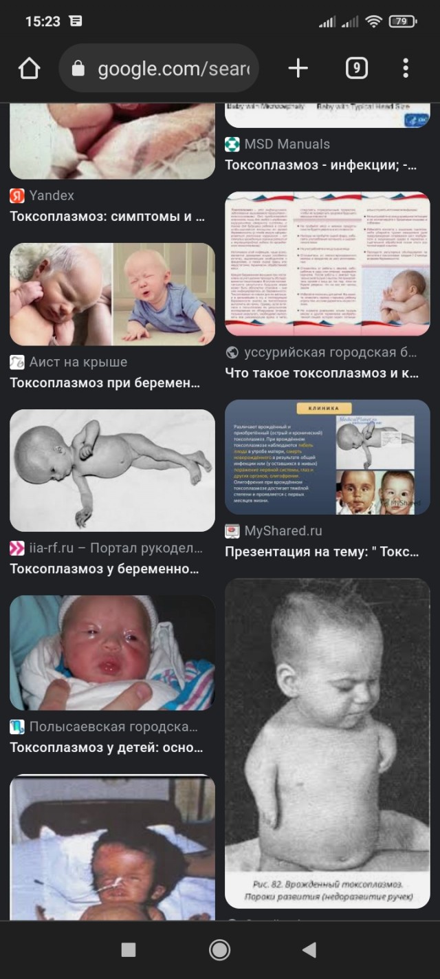 Мэр Бодайбо обвинил депутатов Госдумы в «собачьем лобби» и снова потребовал уничтожать бродячих животных