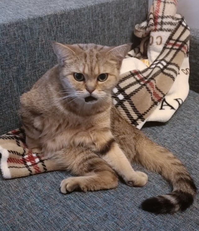Вторник, да?