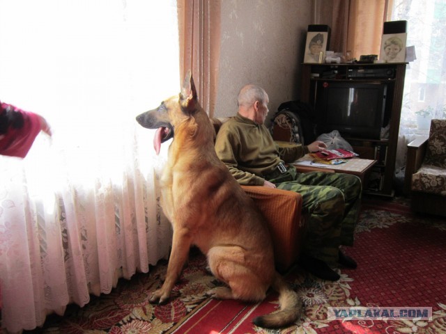 Часы
