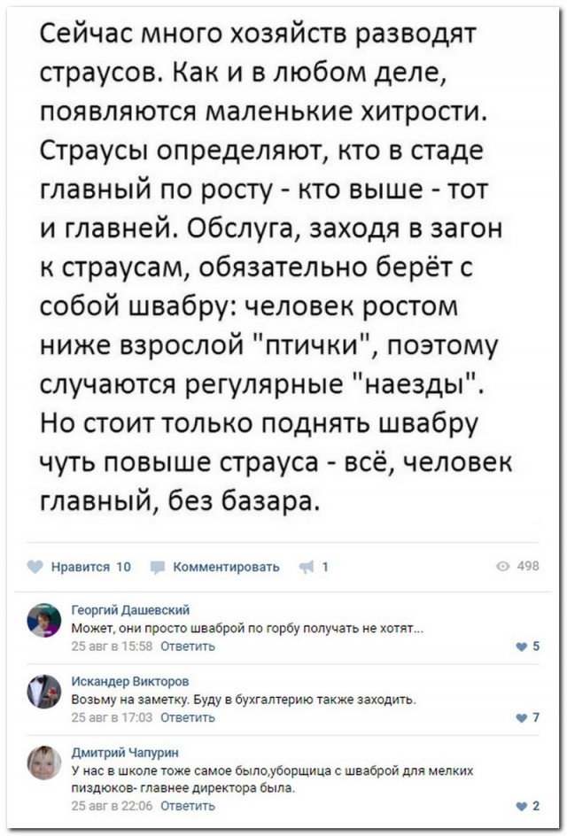 Забавные комментарии из социальных сетей (15.05.23)