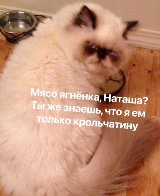 Всего понемногу. От 20.12
