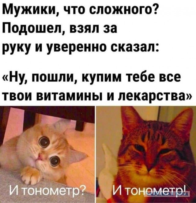 40 пятничных картинок 29.12.2023
