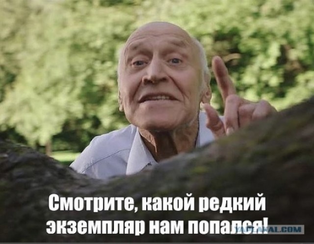 Социальный эксперимент, результат которого был заранее предсказуем