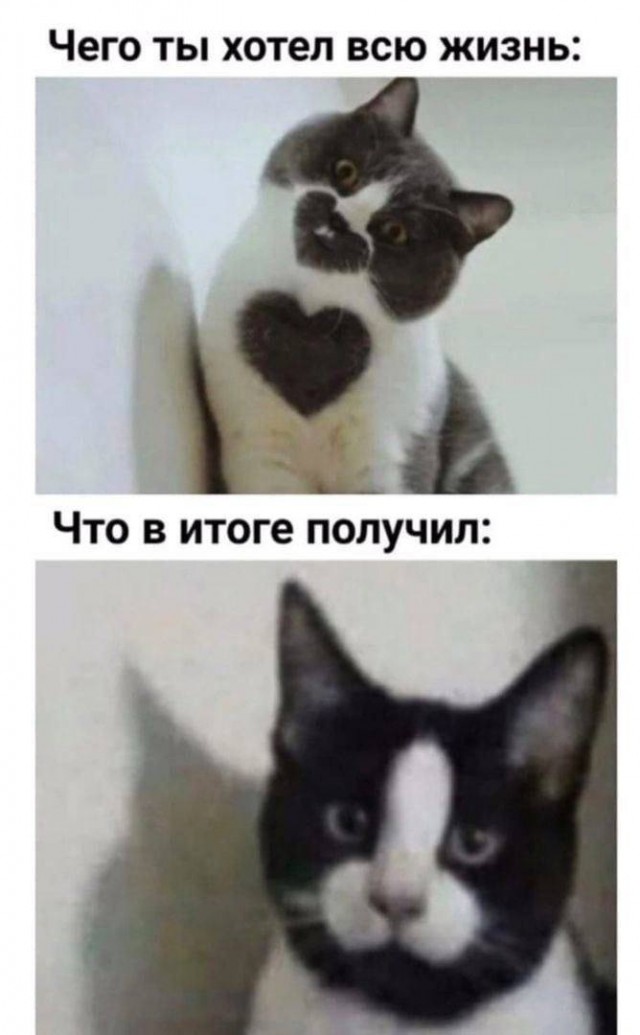 Народная меДИЧина 3015