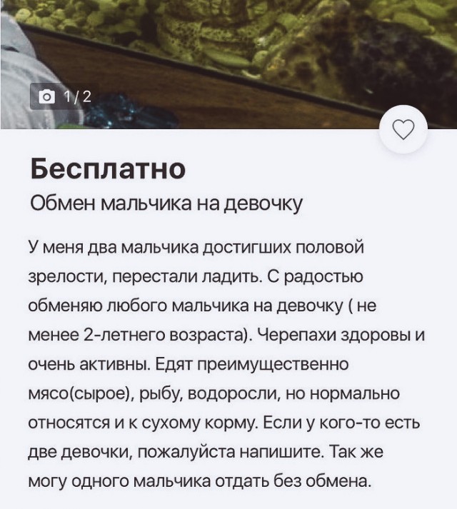 Надеюсь жена не увидит мой телеграмм ...