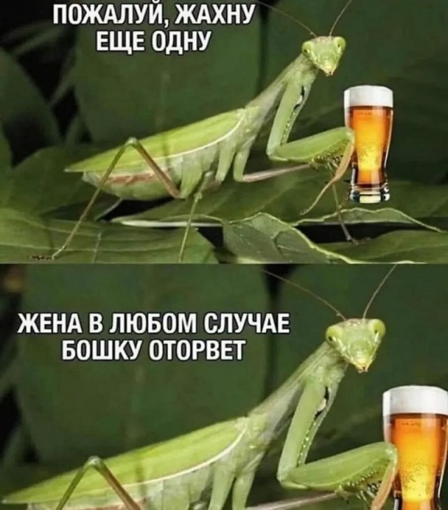 Завалялось тут случайно немного забавных картинок