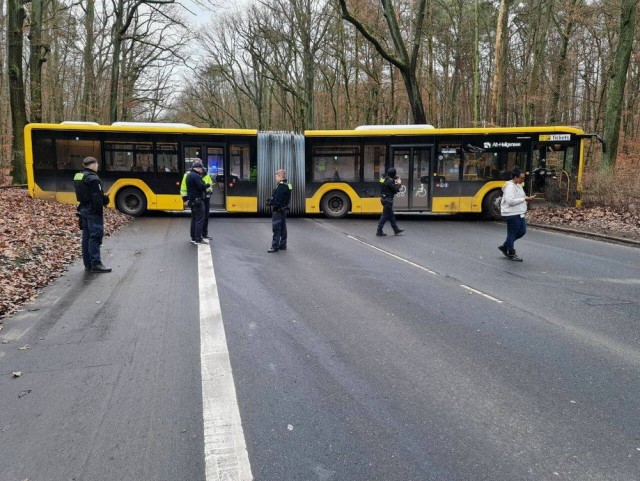 ФотоВинегрет