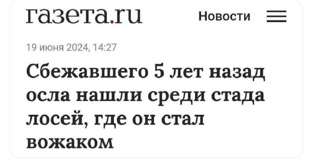 Всего понемногу. От 27.06.2024