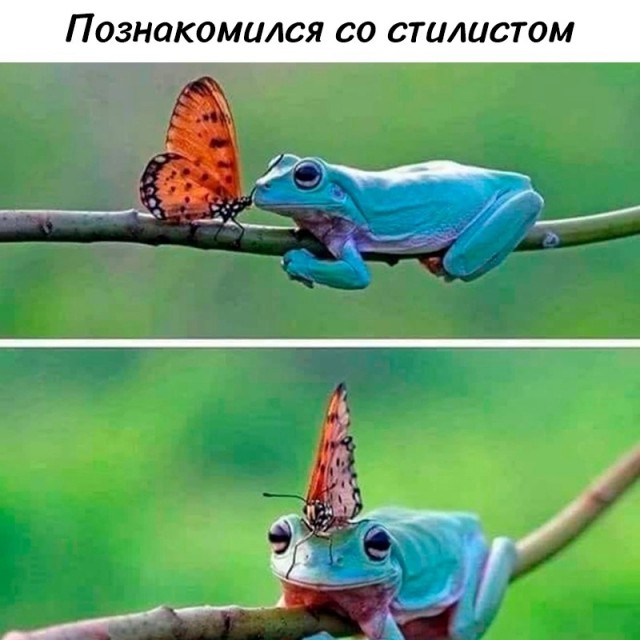 Так себе картинки 16.07.24