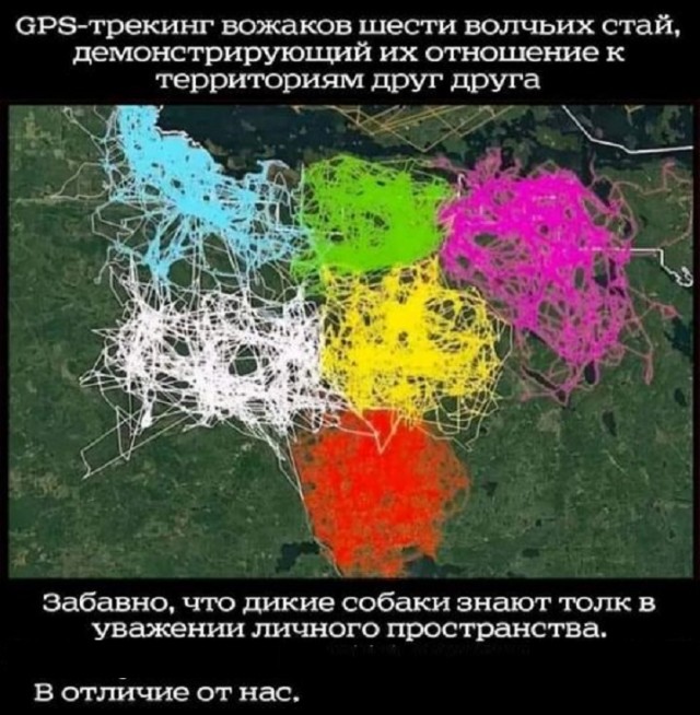 Картинки разные с надписями