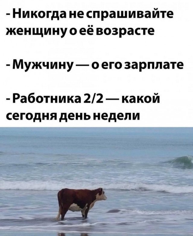 Отряд быстрого деградирования