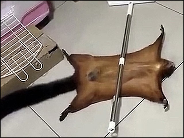 Детство, отрочество, юность