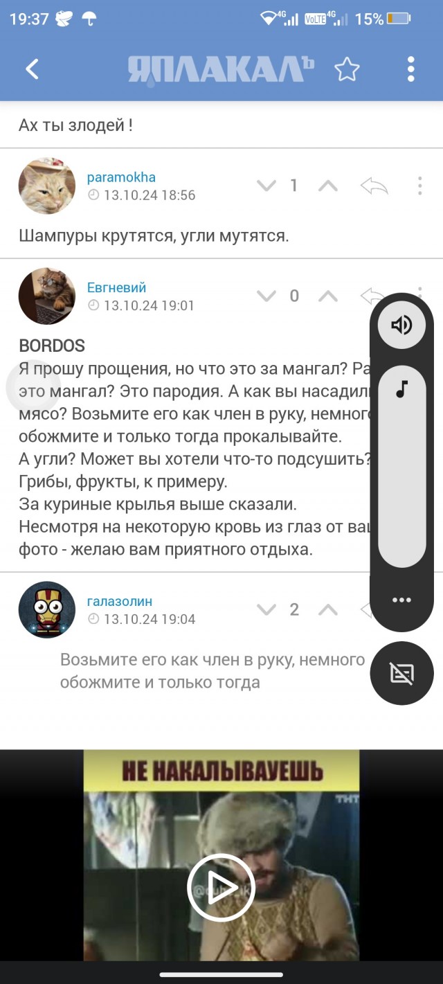 Огонь и мясо