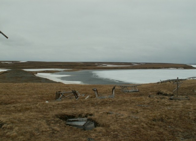 Оборотни против вампиров. Ужастики! Читаем рассказы и голосуем