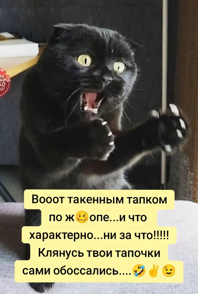Завалялось тут случайно немного забавных картинок