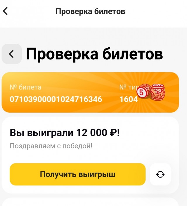 Чудо в Новый год!