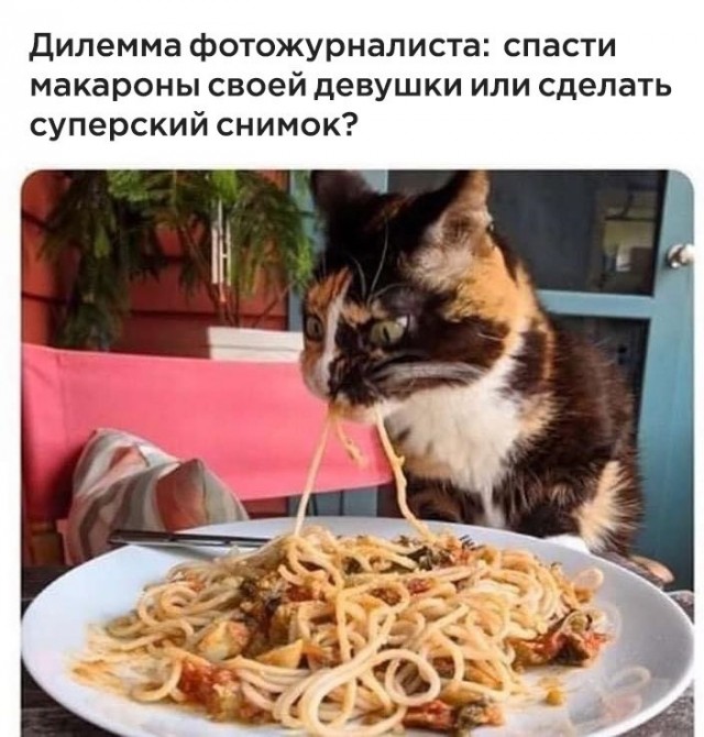 Завалялось тут случайно немного забавных картинок