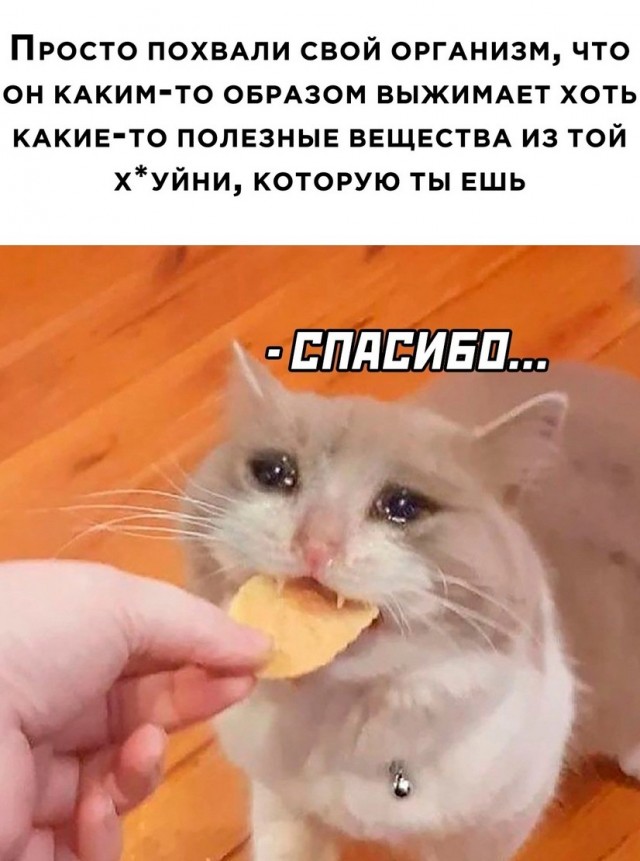 Смешные картинки мемы 20 1 2025 сегодня