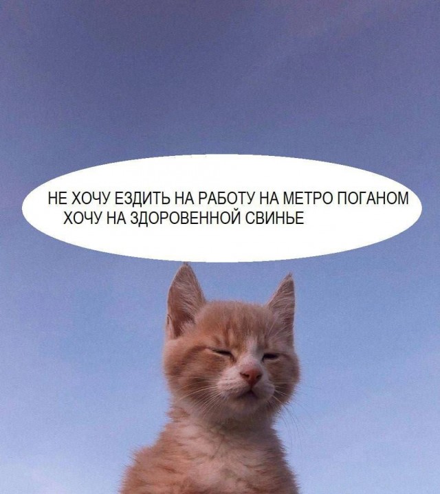 Всего понемногу. От 01.03.2025