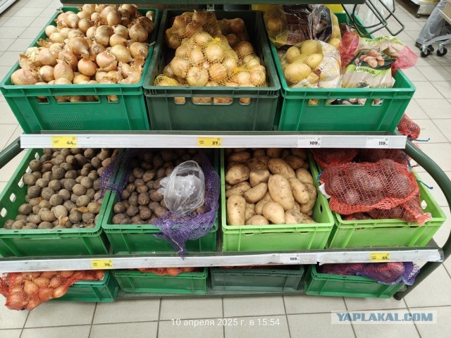 Картошка, новый рекорд.