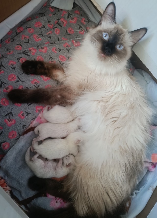 Временной парадокс.